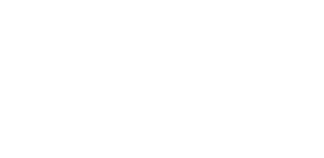 We Are The Fair